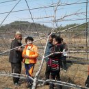 무주농협 친환경유통사업단 이미지