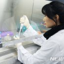 물연구소 이미지