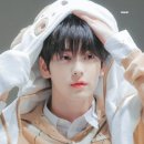 테스타 이미지