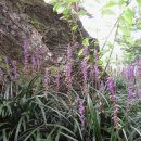 동부2리 이미지