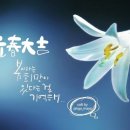 한국잇츠캘리그라피협회마야손글씨