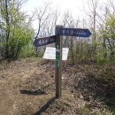 임실회문망루 이미지