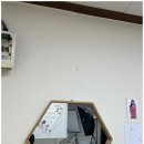 자연스러운 인계동증명사진, 수원인계동달빛사진관에서의 특별한 촬영 경험