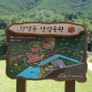 진밭골산림욕장 이미지