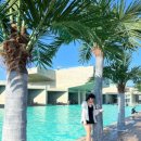 엘리스테이 이미지