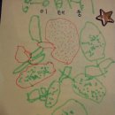 태송농장 | (이태송,이태웅) 서귀포 감귤따기체험 하는 농장인 탐나는놀이터에서 놀다 간 흔적 남기기