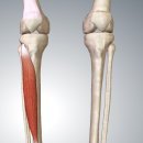 BODY MAKER 이미지