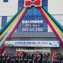 제주파티앤벌륜 네이버블로그