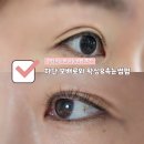 [하단속눈썹펌] 눈매에 딱 맞춘 자연스러운 컬, 하단 보배로와 왁싱&amp;속눈썹펌 후기