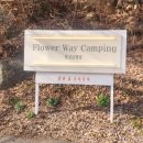 꽃길헤어 | 산청 글램핑 추천! 산청 꽃길글램핑 1박2일 후기.