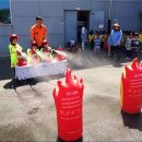 강진군동초등학교 이미지