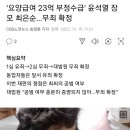 '요양급여 23억 부정수급' 윤석열 장모 최은순…무죄 확정 이미지