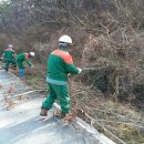 푸른정비 이미지