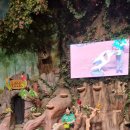 고산태권도장 이미지