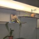 지내 | 서면 전포 갬성 넘치는 반 야장 술집 잘 지내 후기