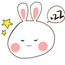 월정씨하루 이미지