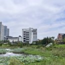 고내천변로 이미지