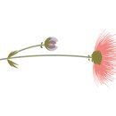 아이비공인중개사사무소 이미지