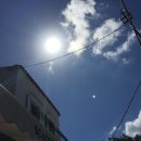 템플엑스 이미지