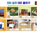 11. ESG 강사 나부터 실천 CO2 줄이기, 1만보걷기 효과 이미지