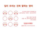 위즈여성외과의원 네이버블로그