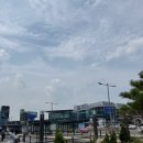 새싹회관 | 서울역 커넥트 플레이스 맛집 추천 | 가족회관 내돈내산 후기