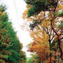 도성1리 마을회관 이미지