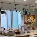 어모초등학교 | 마크로비오틱 원데이 클래스 | 몸이 따뜻해지는 뿌리채소와 씨앗요리