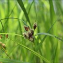 구슬엔 작대기 이미지