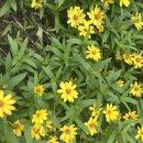 경원미술관 | 북서울꿈의숲 반려견 동반 산책