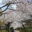 방화근린공원 관리사무소 이미지