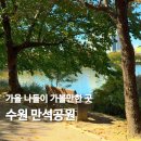 천천게이트볼장 | 가을 갈만한곳 만석공원 애견동반 주차요금