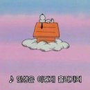 제유 Daum카페
