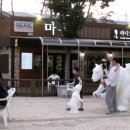 산성시장2 이미지