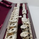 플룻 (B)? 이미지