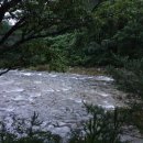 초록수채화 이미지