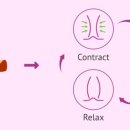 효정한의원 이미지