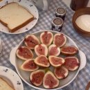 스테이솔솔바람 이미지