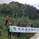 법전면사무소 이미지