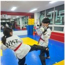 동아대동일태권도 이미지