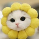 모래 공중화장실 이미지