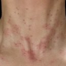 윤슬피부과의원 이미지