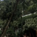 삼삼 게임장 | 3박 5일 하노이 자유여행 | 대가족과 함께하는 하노이 자유여행 | 1일차 - 플라밍고 다이라이 리조트