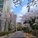 중산1동 행정복지센터 이미지