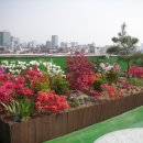 은혜빌딩 이미지