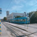 코코민박 이미지