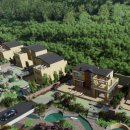 포레스트휴 이미지