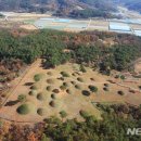 합천 옥전 M4호분 출토 금귀걸이 이미지