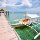 레아네팜 이미지