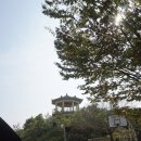 광운농장 이미지